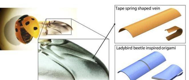 前沿科幻机器人,能跳跃的机器人折纸