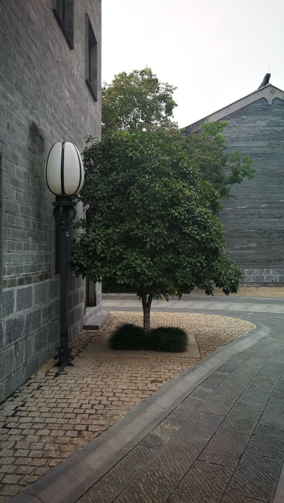 夫子庙和老门东靠得近吗,夫子庙与老门东之间距离