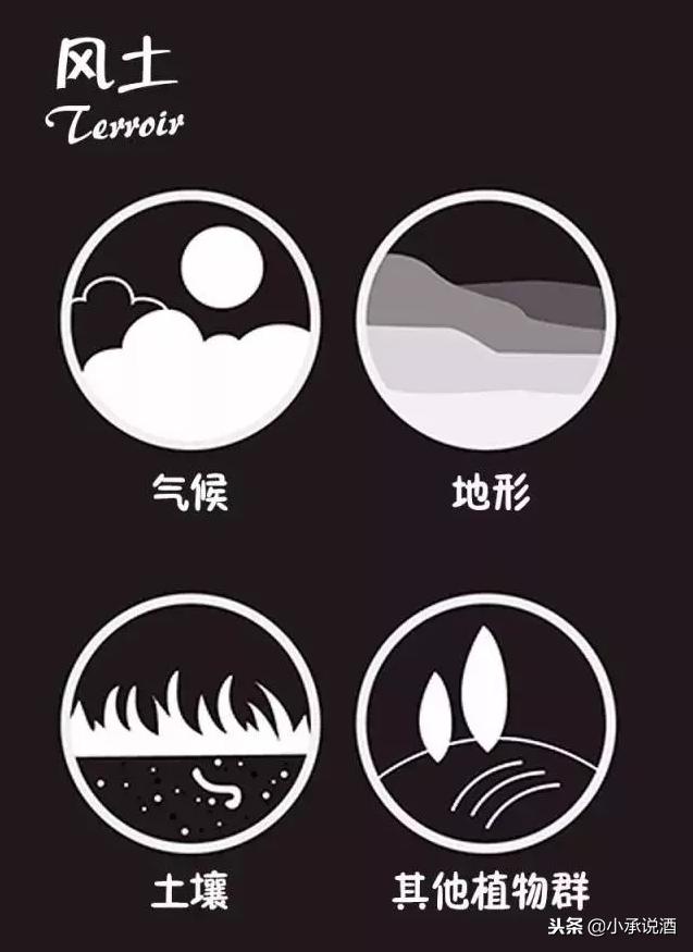 红酒初学者入门的知识,红酒小知识100例