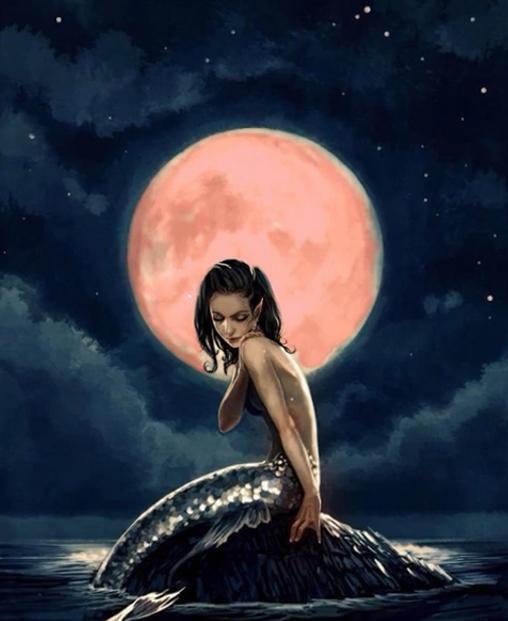 探秘深海美人鱼,真实世界的美人鱼