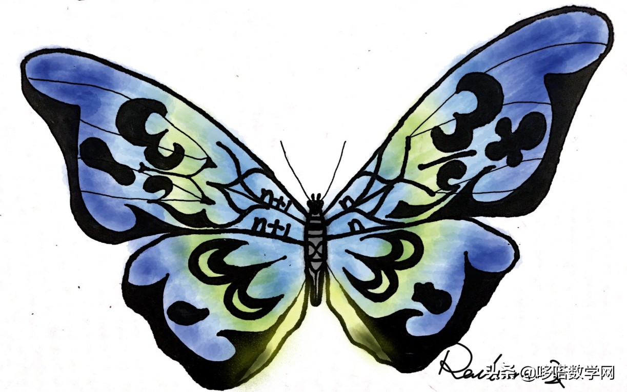 数学蝴蝶翅膀公式,蝴蝶翅膀上的数学