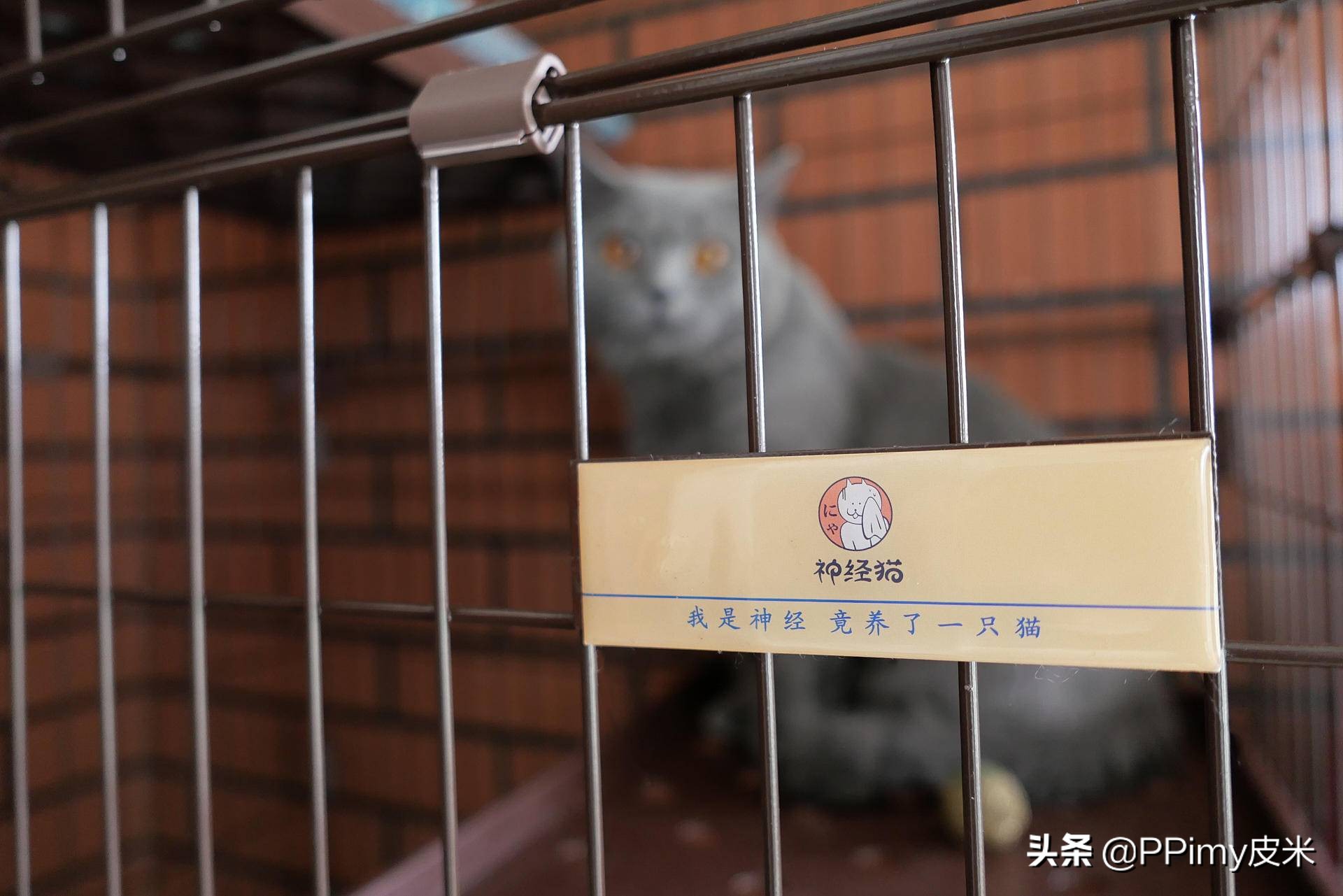 松下相机lx100m2使用感受,松下lx100m2相机官方标配版开箱