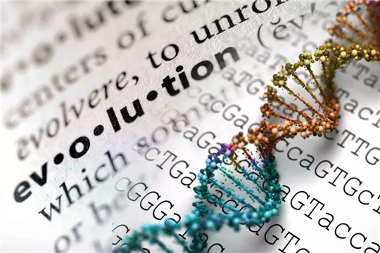 中国汽车不行的原因,中国汽车品牌企业有哪些不足