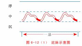 中医把脉入门必背口诀翻译,把脉入门必背口诀粤语版