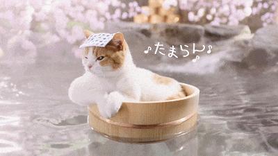 从化温泉镇泡温泉团购,从化温泉团购双人