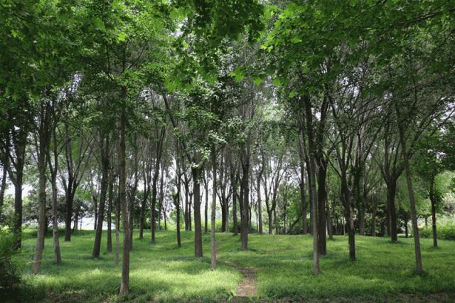 未来三年郑州会发展吗,未来五年郑州会有大的发展吗