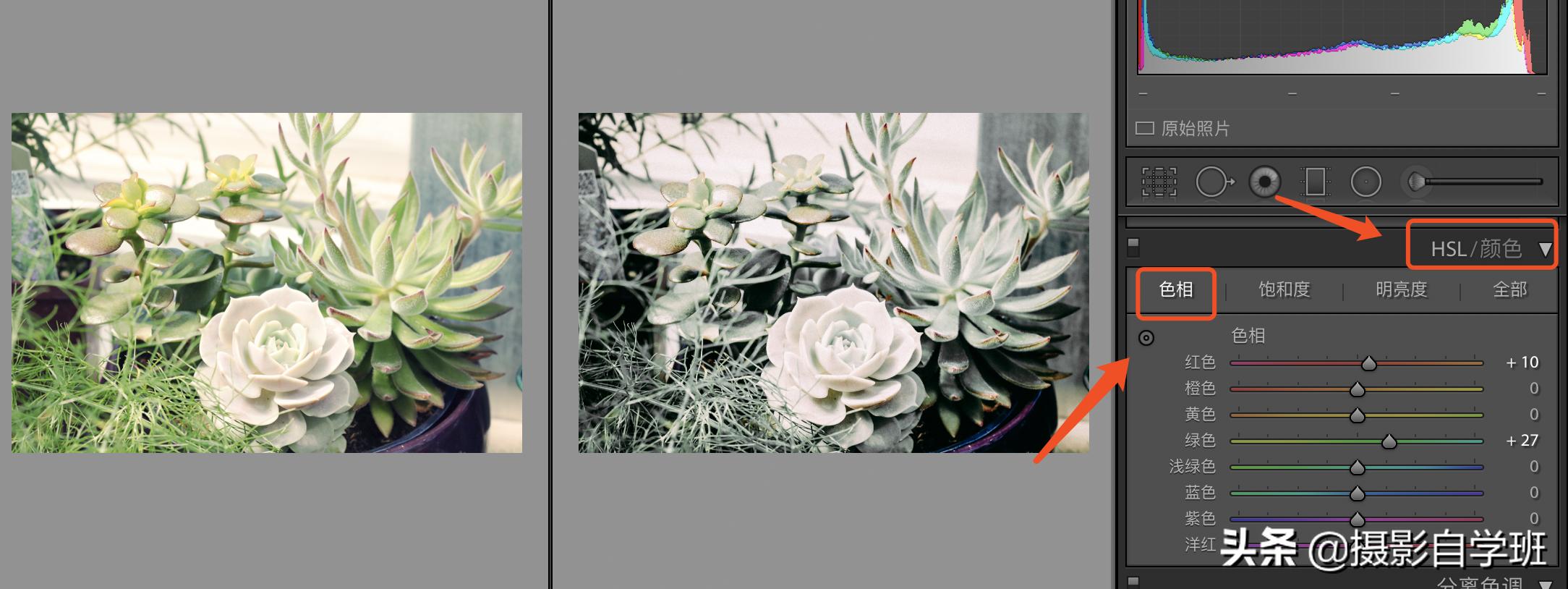 灰色显高级发色,高级灰风格照片的特点和调色方法