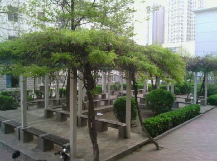 石家庄桥西实验十七中,石家庄市桥西区17中