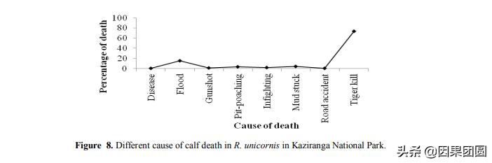 老虎杀犀牛全过程,老虎猎杀犀牛过程