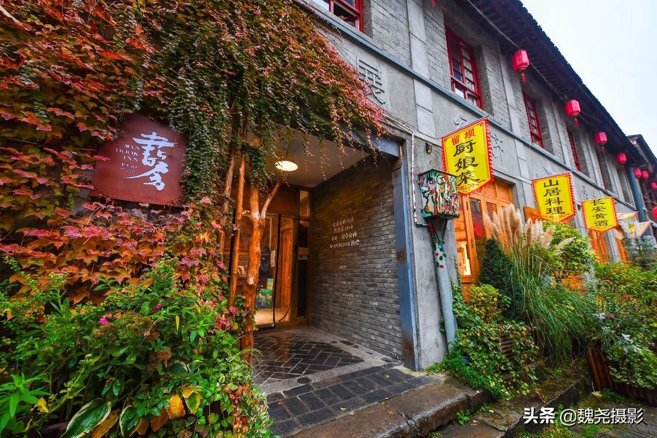 留坝秦岭之夜,留坝秦岭森林公园