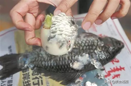 4种去鱼鳞的方法，简单好学，SoEasy！