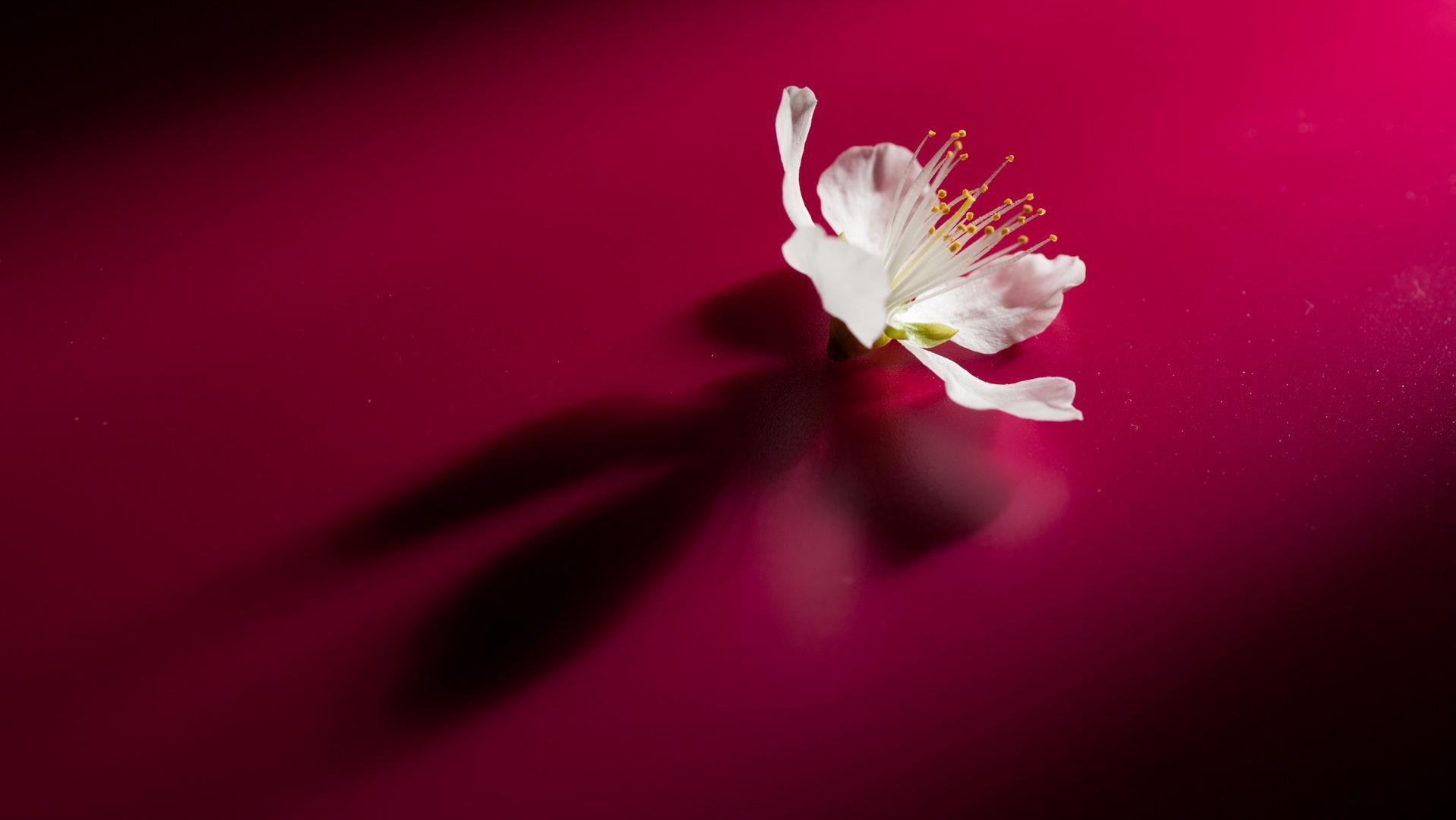 一个人，开始走桃花运，有这三种迹象