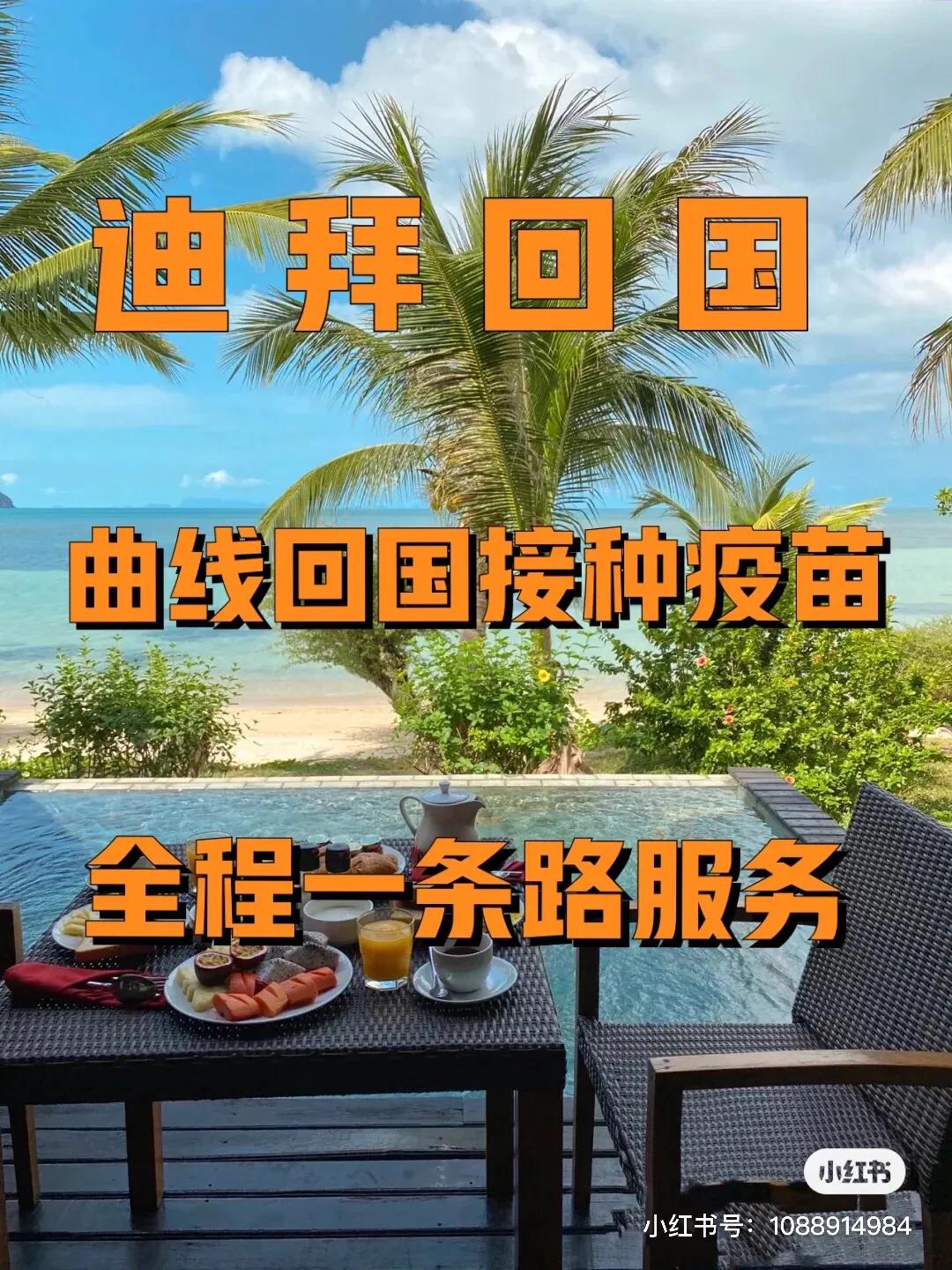 迪拜回国攻略最新版 (迪拜回国最新攻略)