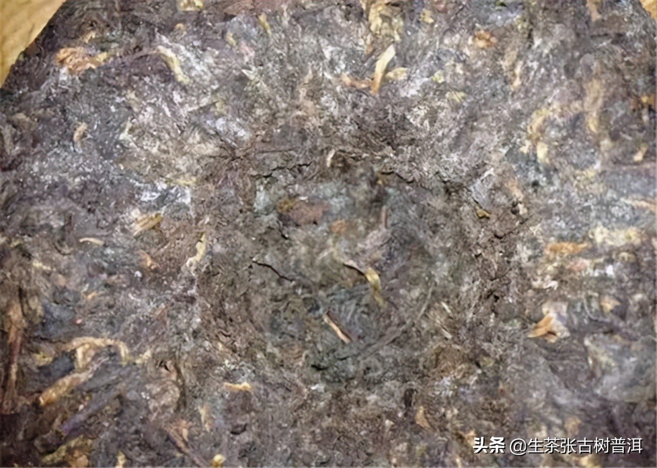 普洱茶发霉了怎么办?有什么方法解决?发霉的普洱茶可以喝吗?