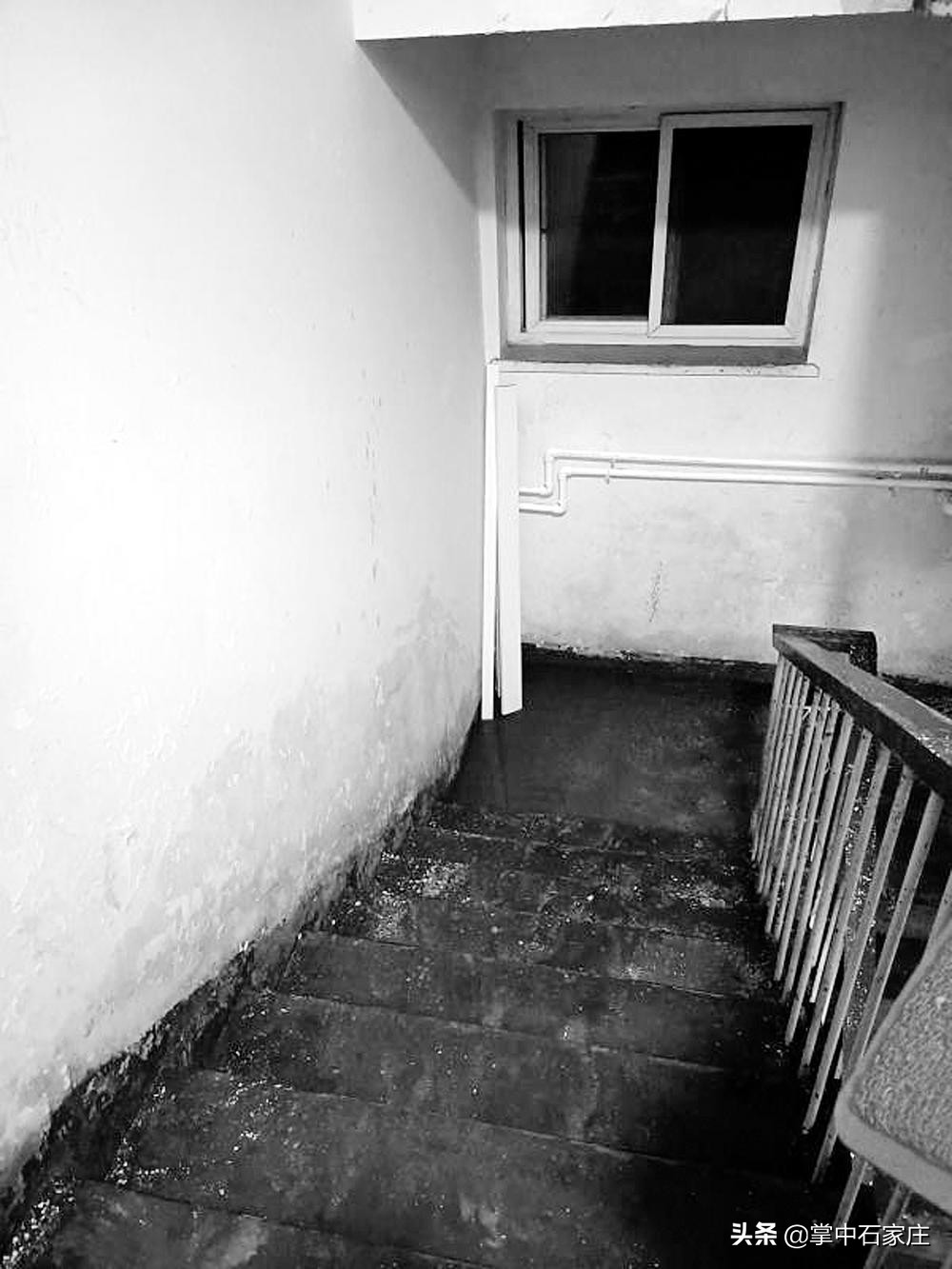 鐕曡档鏅氭姤鐑嚎,鐕曡档鏅氭姤渚涙殩闂