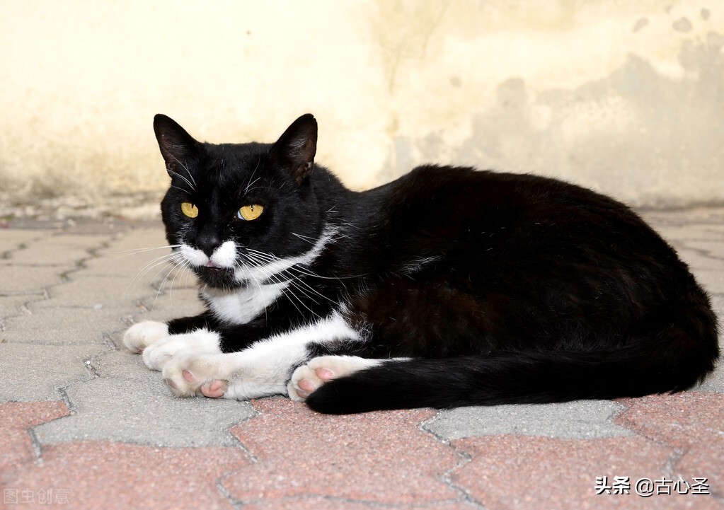 作家教孩子写作文（四）：借《易经》的一点祥光，照亮作文