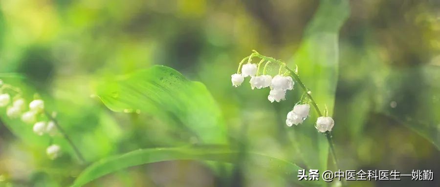 五脏虚阴阳虚,五脏虚了要怎么补