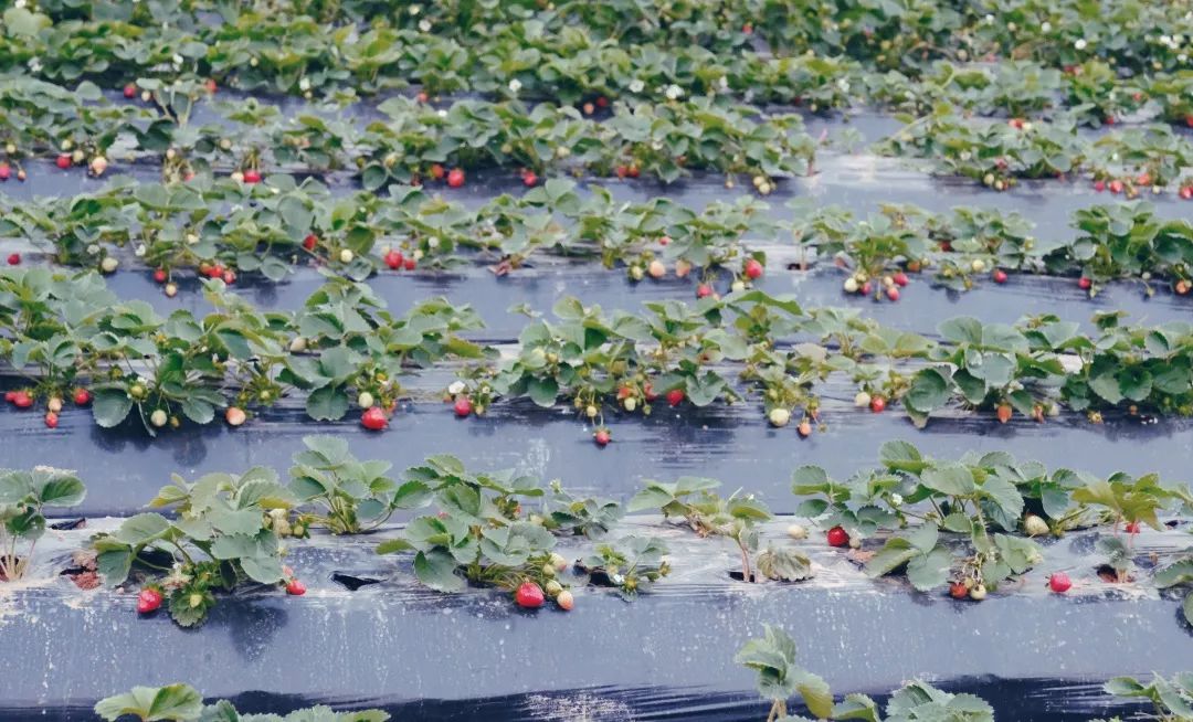 宝安福地,宝安福地在哪里