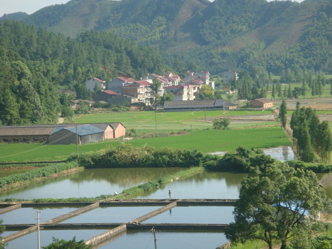 此心安处是吾乡申论范文,此心安处是吾乡陆沉