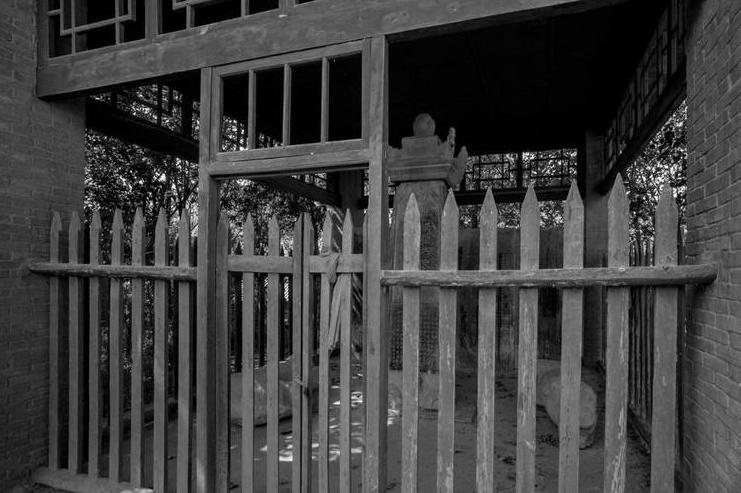 自建房大门怎么选,自建房大门如何选择