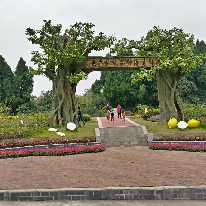 去安岳玩最该去什么地方,四川安岳有什么好玩儿的