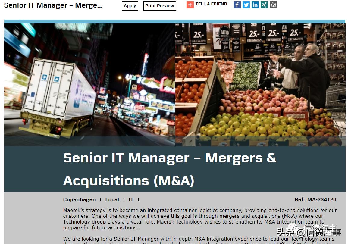 马士基属于什么类型,马士基什么时候有舱位