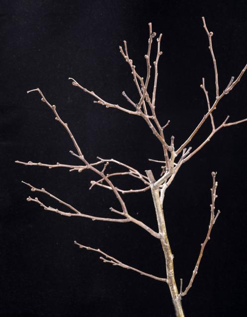 期货交易要把握好时机,期货交易机会的预判