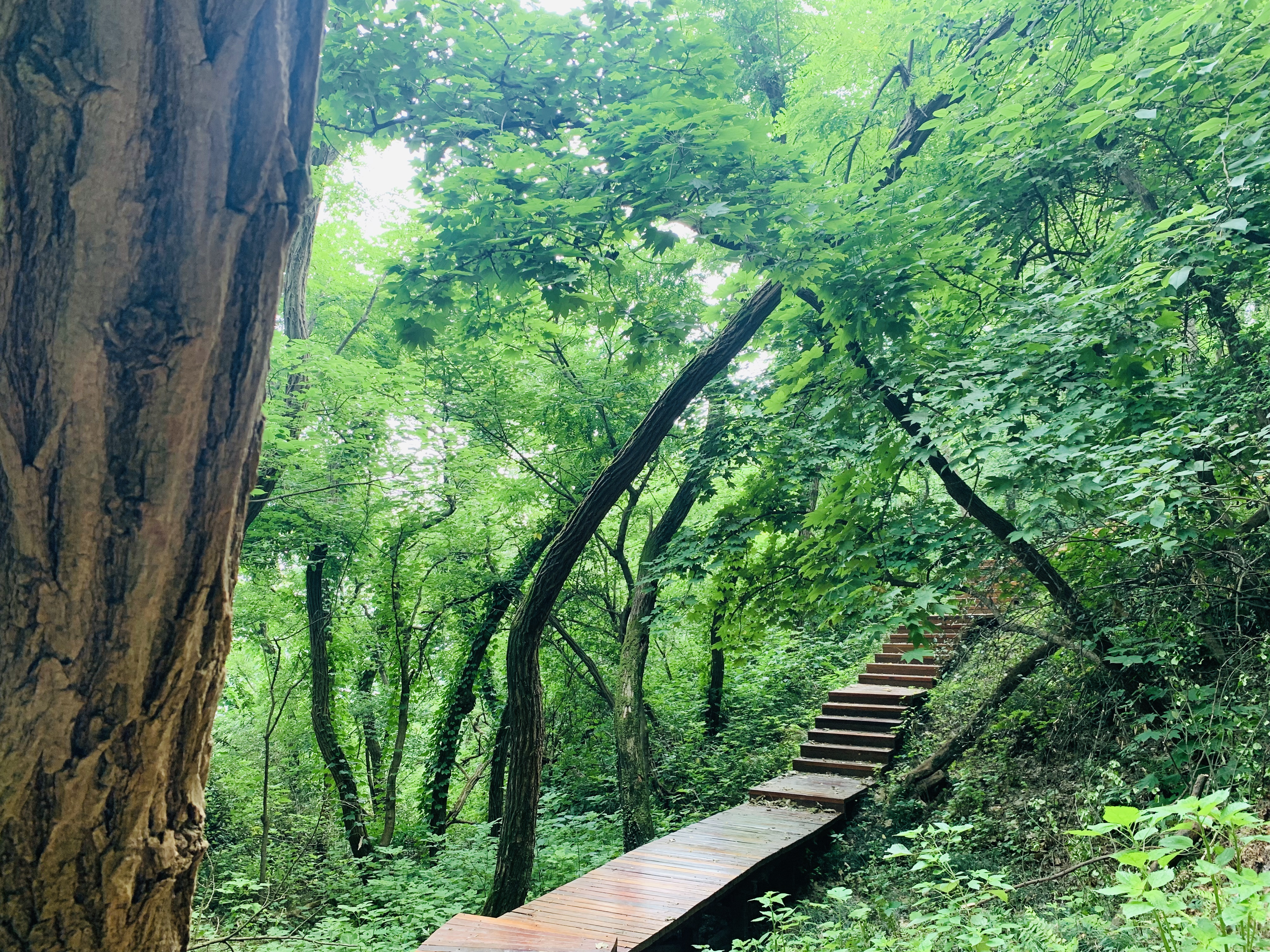 南京塑胶健身步道,南京健身步道