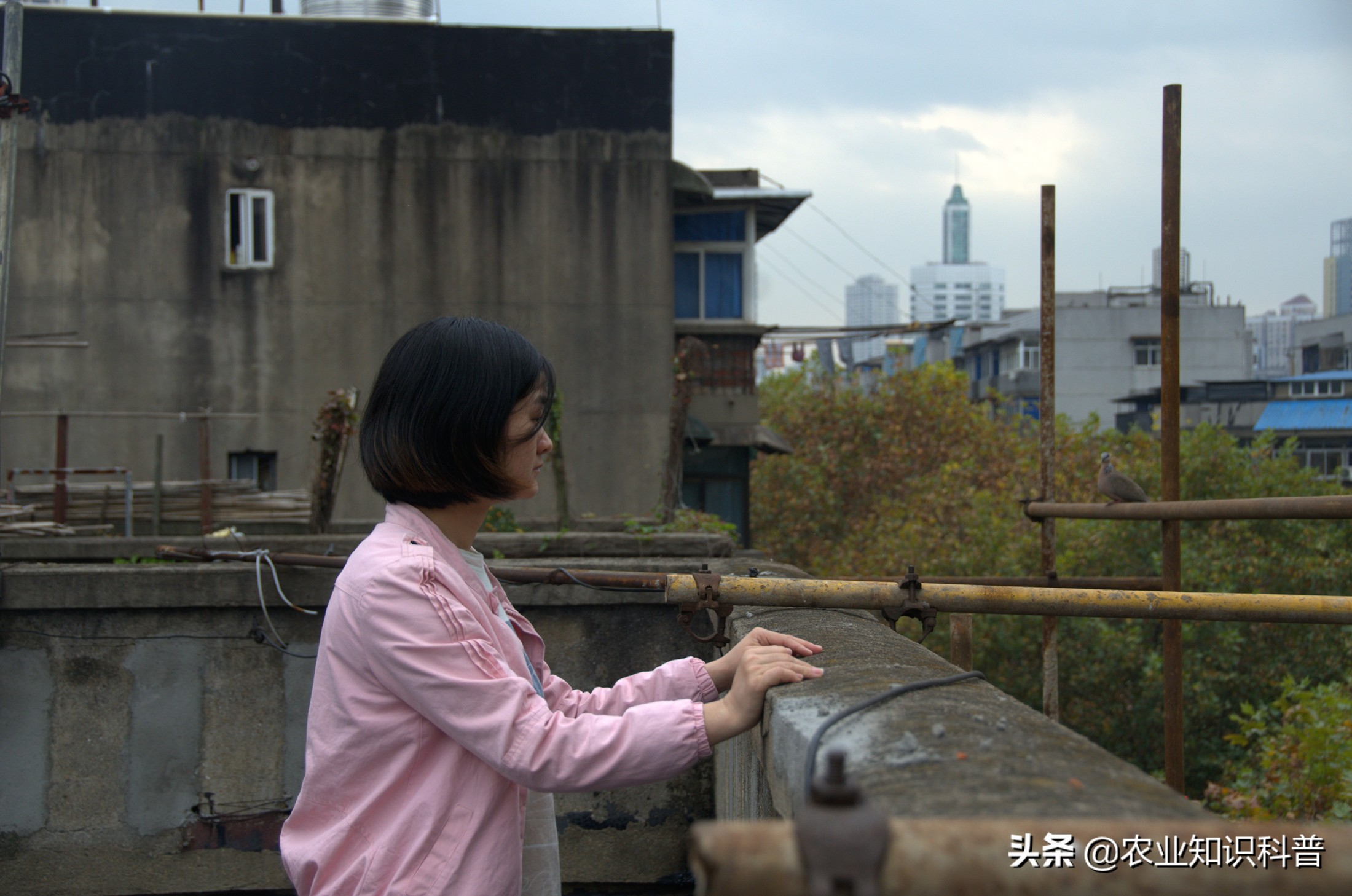 5岁男童反复高烧39.3度怎么办,5岁男孩反复高烧不退咳嗽