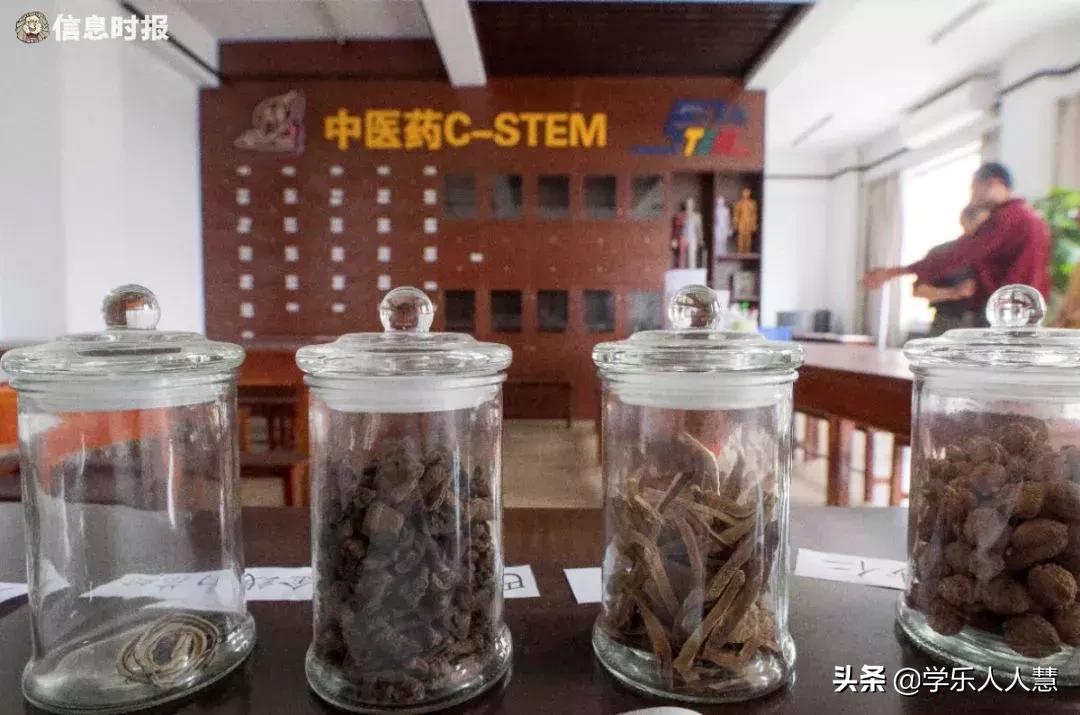 广州市示范性高中深度调研①丨这批后起之秀好在哪?特殊在哪?