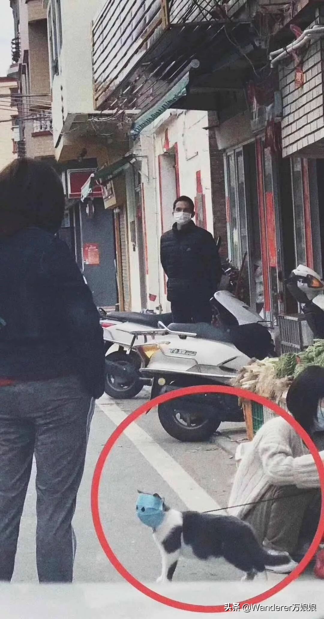 多亏这些宝藏网友,让我笑到免疫力增强