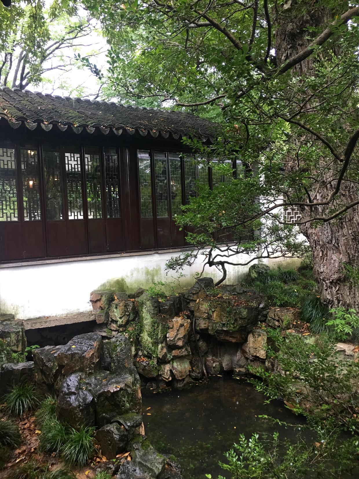 穿越古今美景,苏州拙政园最美的是哪里