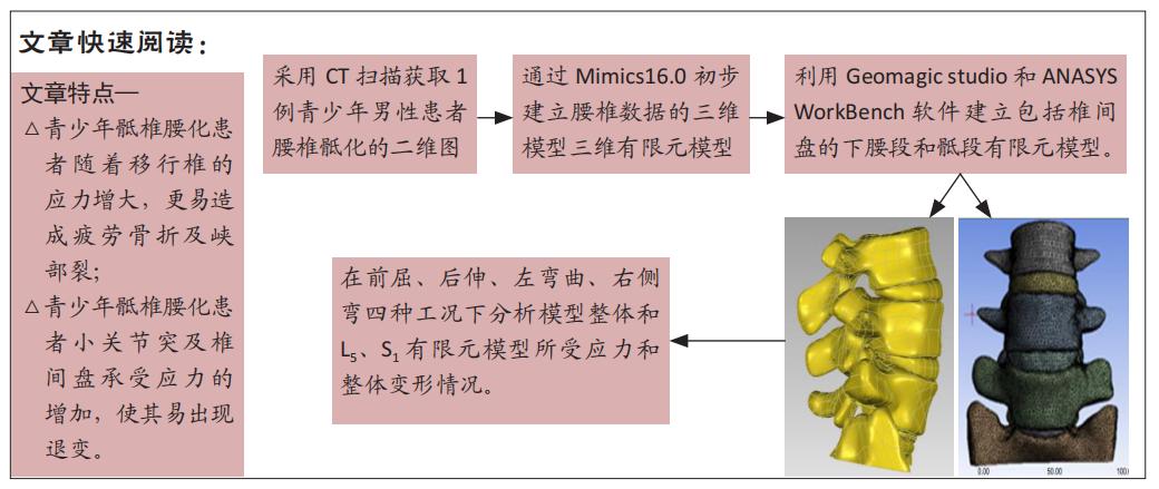 骨盆有限元模型,有限元模型建立的步骤