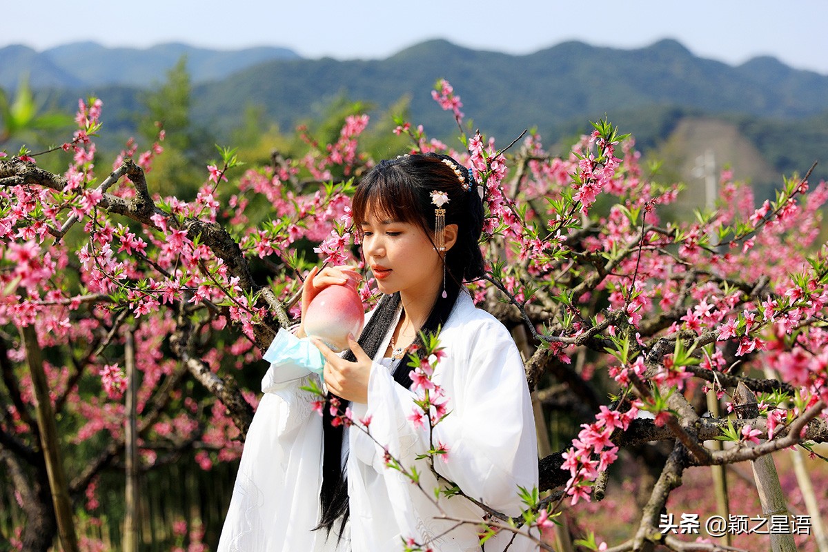 天下第一桃花源风景区,天下第一桃园图片