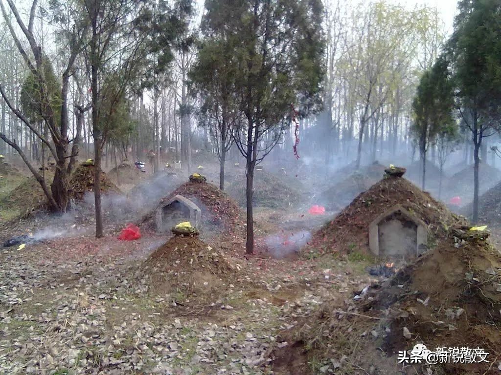 娘去了一个叫天堂的地方，故乡的山水依旧在，却没了家的味道