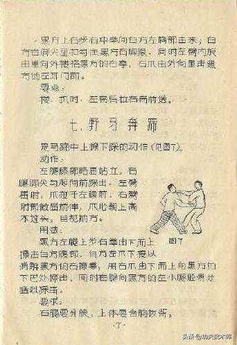 失传已久的古少林迷踪拳秘籍,少林十三抓拳谱