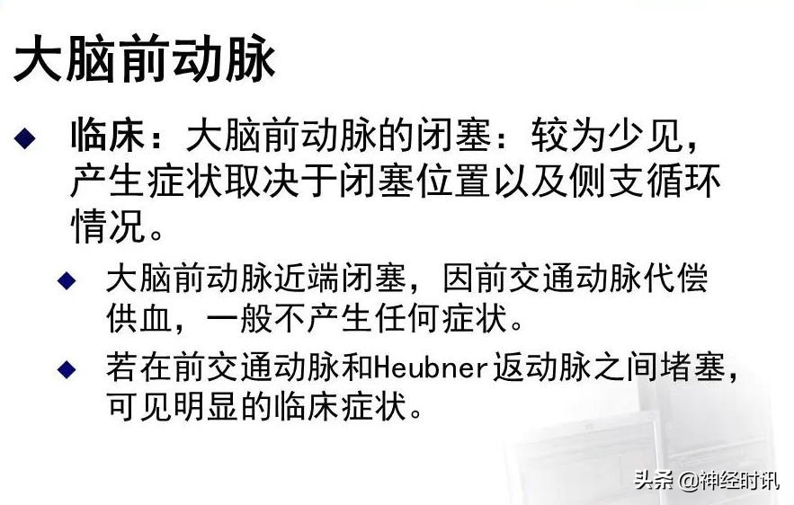 脑动脉解剖学讲解,脑膜中动脉解剖讲解