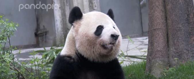 打嗝不止的病,打嗝不止的后果