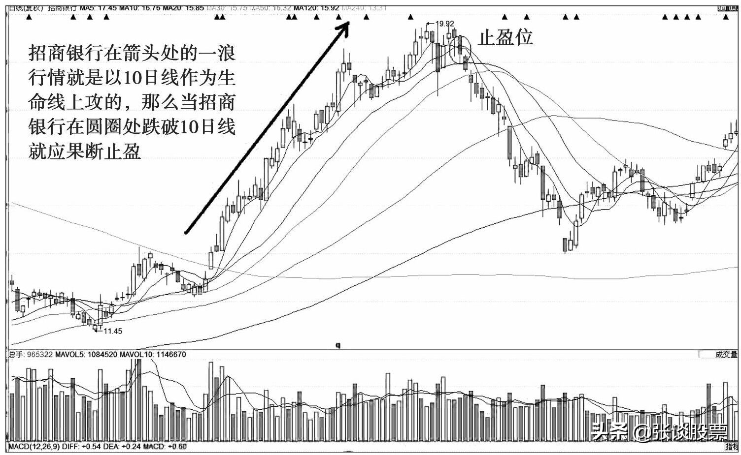生命线的正确解释,生命线图解详细解释