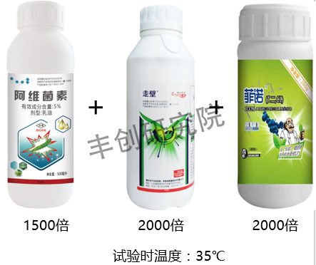 柑橘树上的潜叶蛾用什么药防治,柑橘潜叶蛾高发期