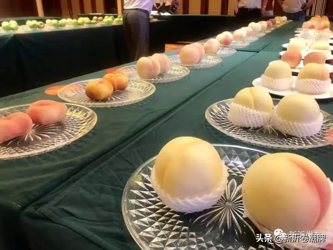 甜蜜产业助推乡村振兴,甜蜜产业让群众日子越过越甜