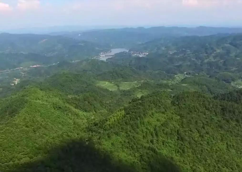 下一站联合电子,下一站同行