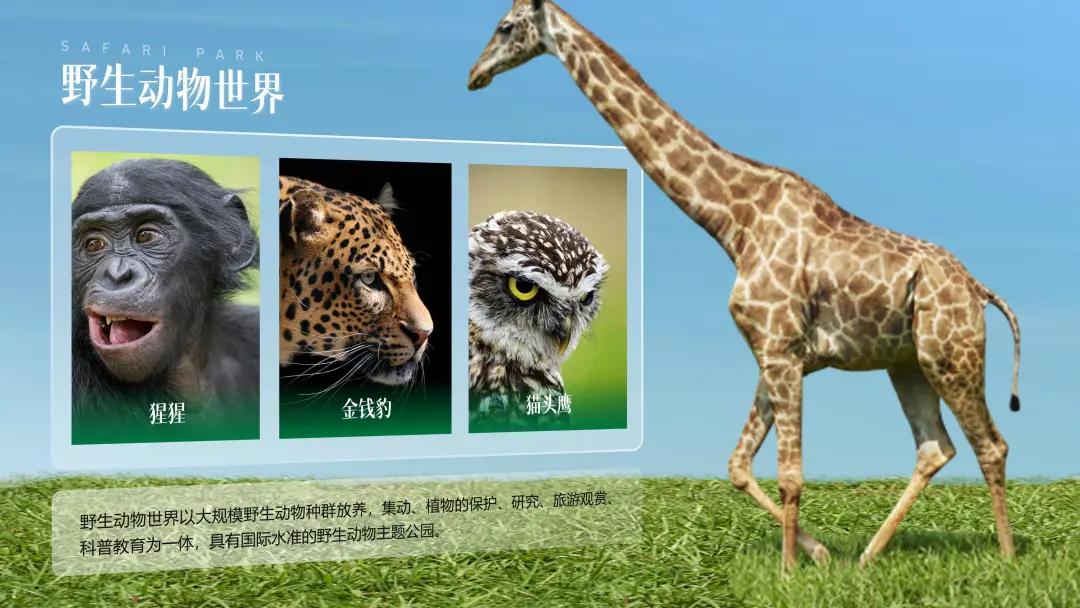 ppt排版设计技巧ppt制作培训教程,ppt多图经典案例排版