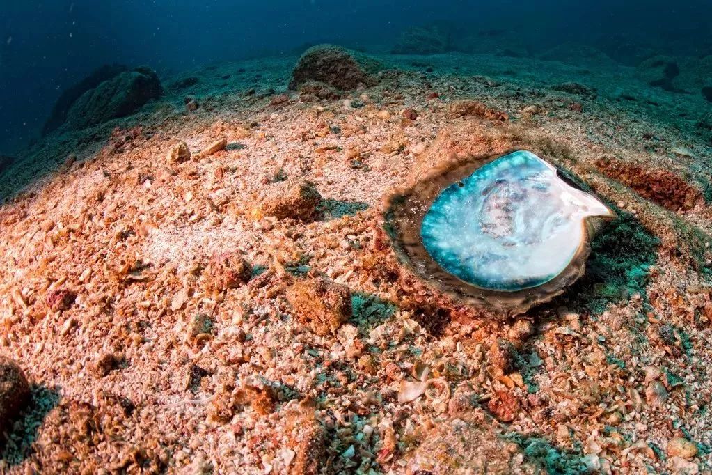 距海南仅20km，这个处女地比台湾风情、比三亚便宜，你错过了吗？