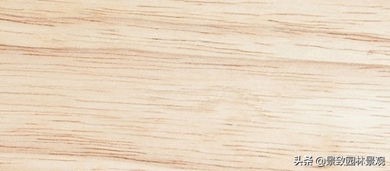 木纹最好看的木材图片,各种木材纹理图片与名称