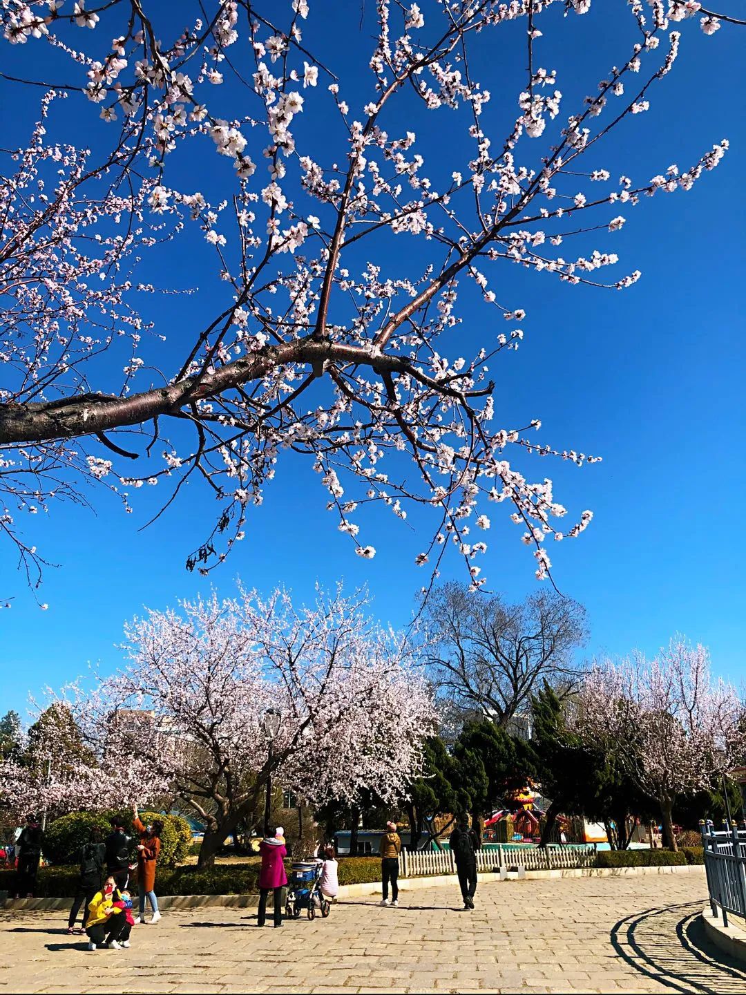 大连老虎滩海洋公园,三寰牧场老虎滩海洋公园