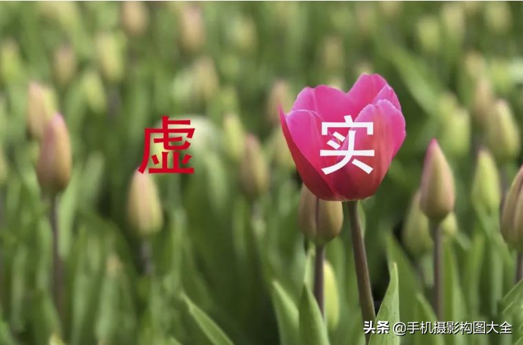 24-70拍人像使用技巧,24种手机拍摄技巧图片