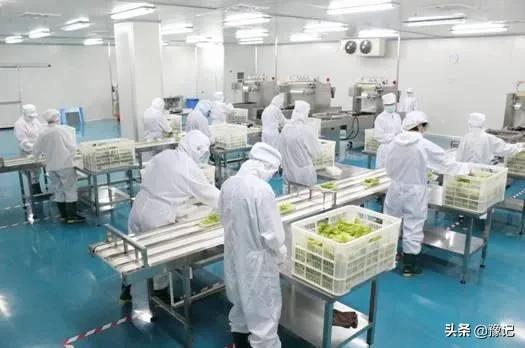 国内最大的中央厨房产业园,为啥会建在原阳?|豫记