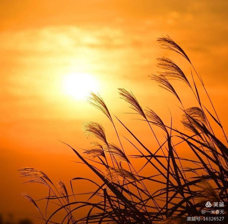 春哥播报原创小说:男生旧楼的回忆(一)