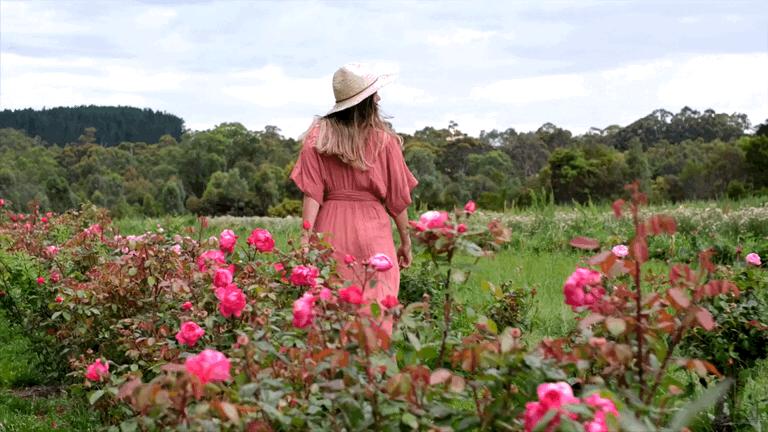 学生党最好用的手霜推荐,手护霜推荐